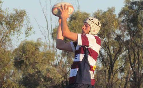 Andrew Melloy takes the lineout for the Cattledogs in Tieri. Andrew Melloy takes the lineout for the Cattledogs in Tieri.